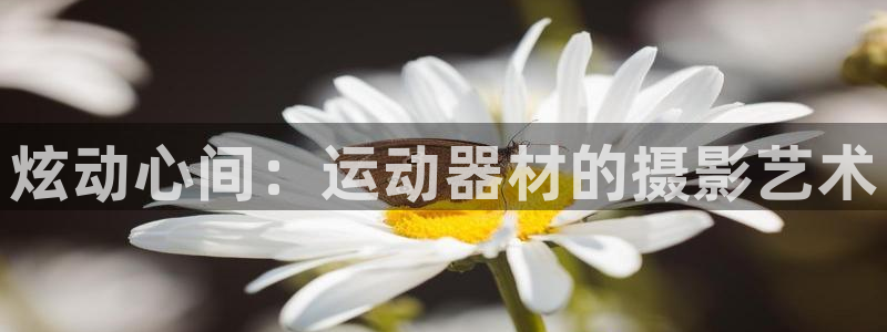 米兰体育官方正版app开户:炫动心间:运动器材的摄影艺术