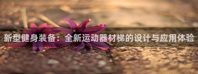 米兰体育官方正版app娱乐网站:新型健身装备:全新运动器材梯